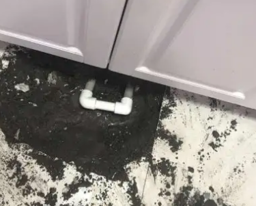 谢通门查漏水哪家好